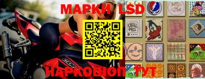 гидропоника Ставрополь